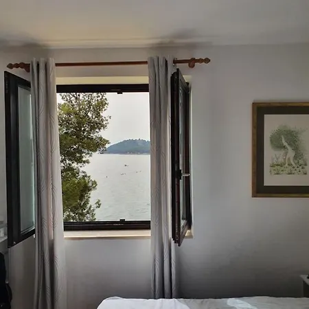David Apartment